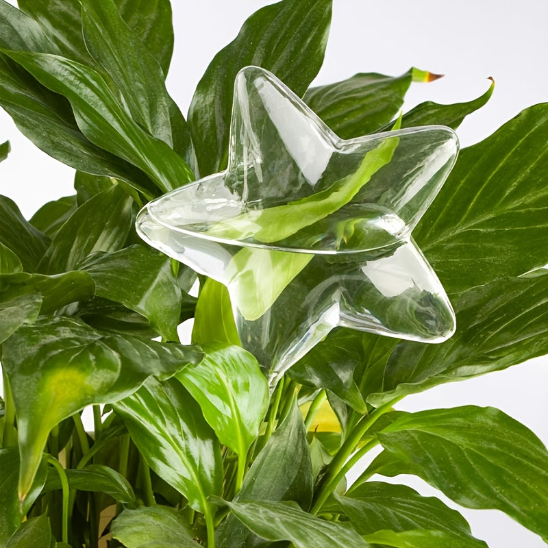 2pcs Star Self Watering Globes for Indoor & Outdoor Plants