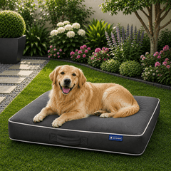 img_7389633