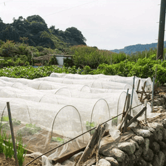 122pcs Greenhouse Hoops for Plant Tunnel Fiberglass Support H