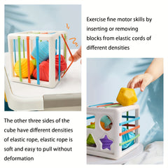 Montessori Shape Sorter Toy for 1 Year Olds