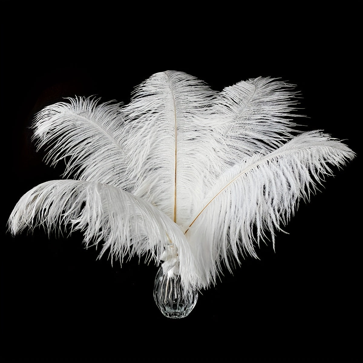 Ostrich Feather Hair Accessories for Party
