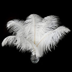 Ostrich Feather Hair Accessories for Party