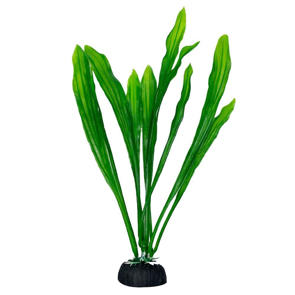img_7491229