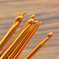 10pcs Aluminum Alloy Craft Crochet Hook Kit For Beginners
