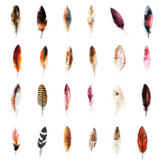 50pcs Realistic Feather Graffiti Stickers for DIY Decals
