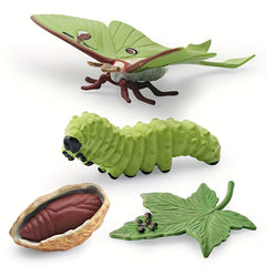 Moon God Moth Life Growth Cycle Toy Set