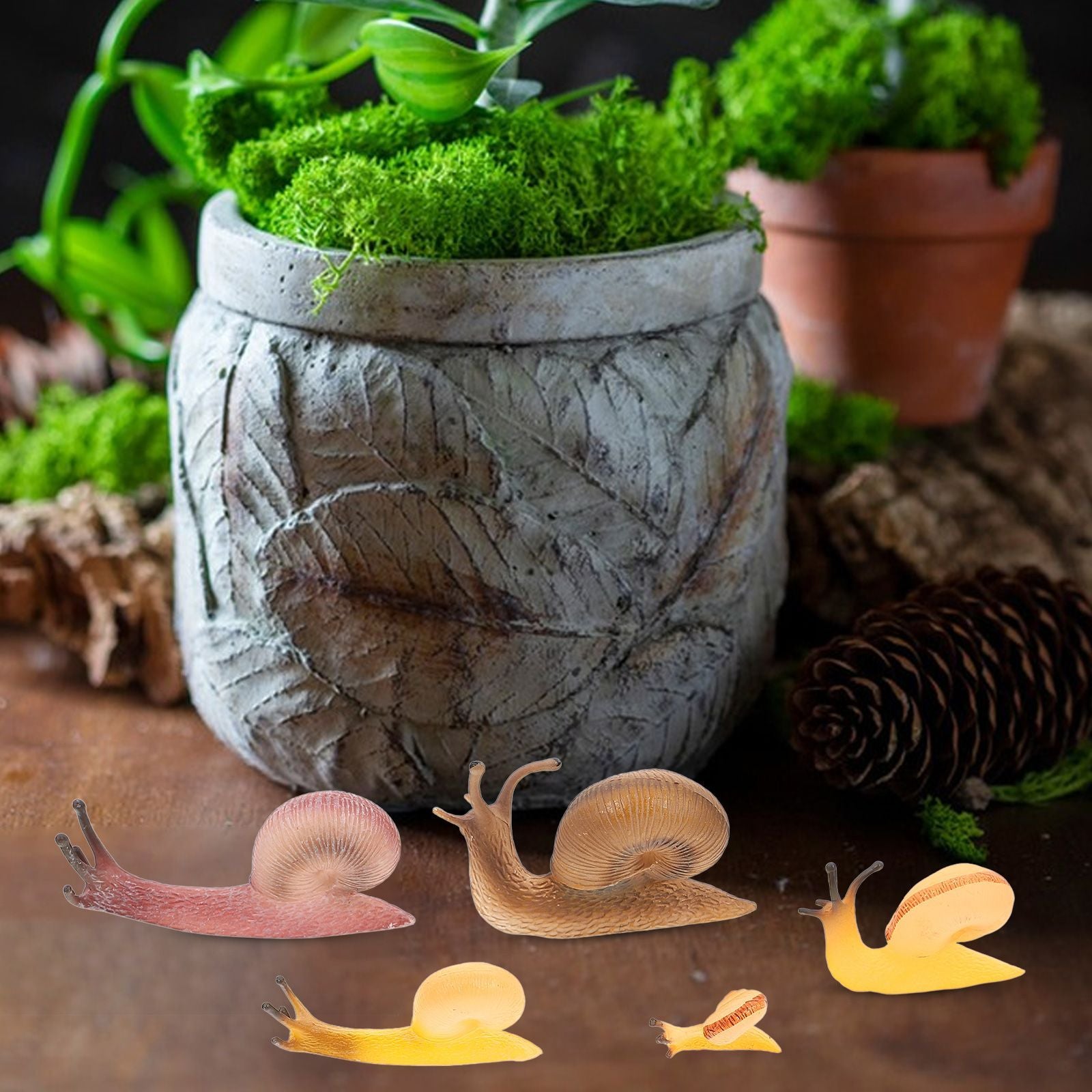 Crawler Animal Snail Landscape Disc Ornament Toy
