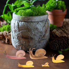 Crawler Animal Snail Landscape Disc Ornament Toy