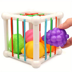 Infant Fruit Stacking Toy Set - Educational Play