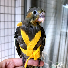 Ultralight Cockatiel Flying Harness Secure Parrot Leash