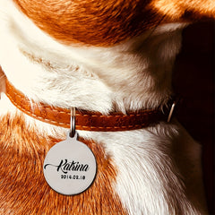 img_6604408