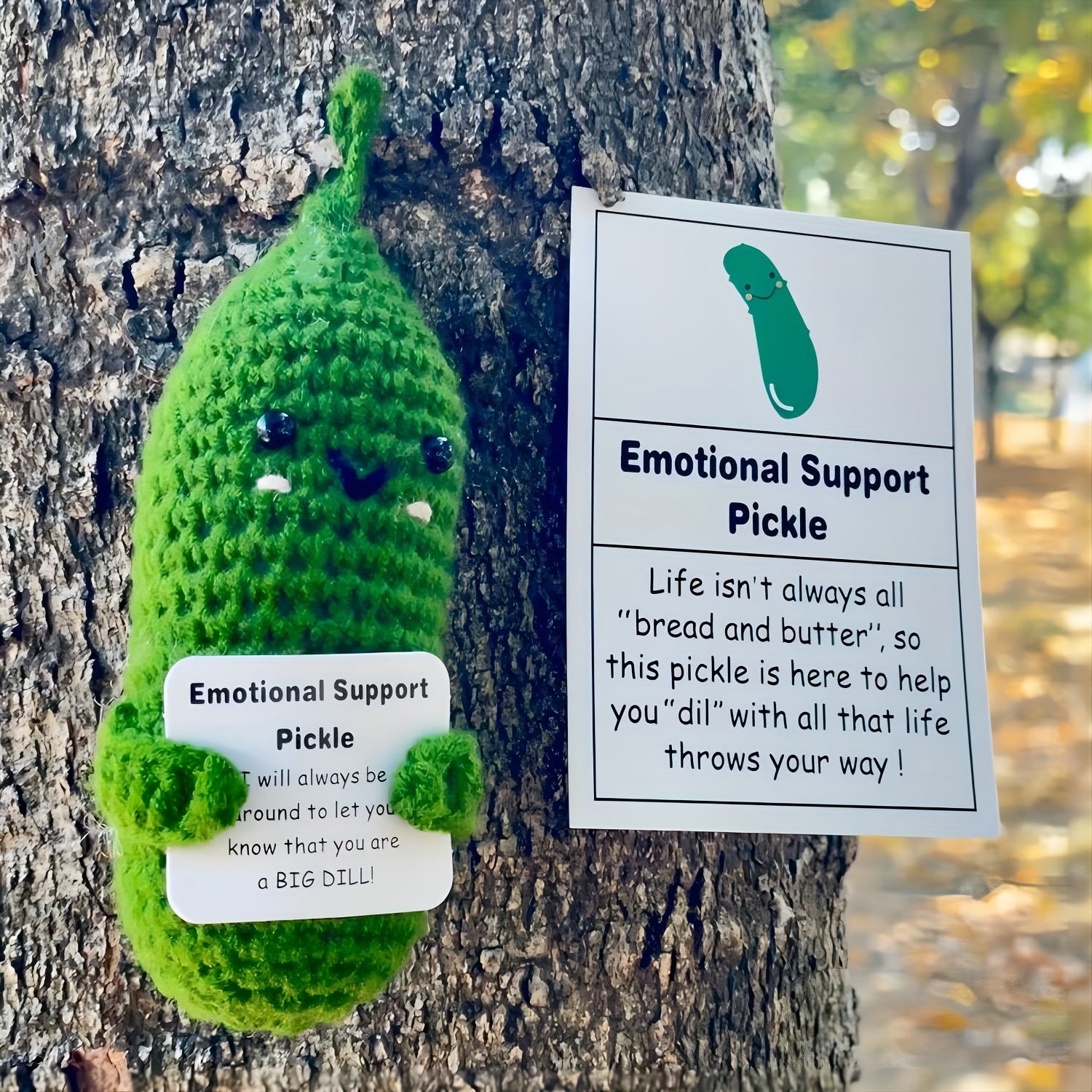 Emotional Support Pickle Gift Set with Affirmation Cards