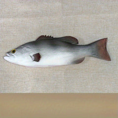 Realistic Bass Marine Animal Model Toy Ornament