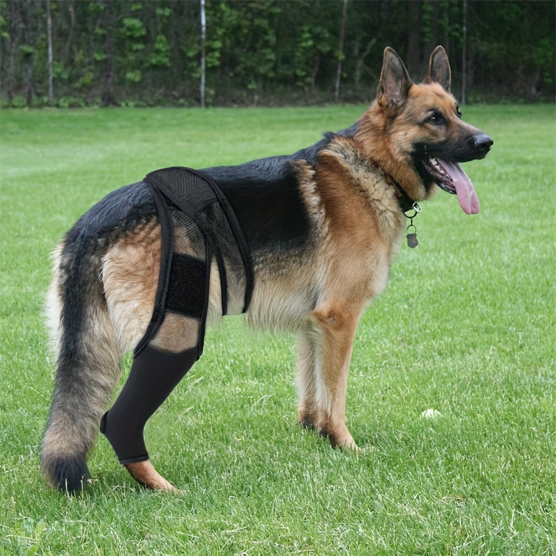 Dog Postoperative Protective Sleeve High Elasticity Leg Joint Brace