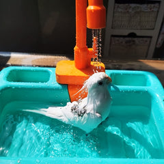 Automatic Parrot Bath Tub with Faucet for Clean Birds