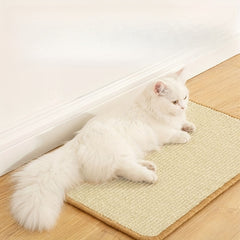 Wall Mounted Sisal Cat Scratcher Pad