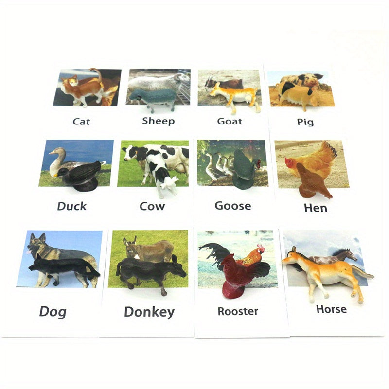 Montessori Animal Matching Card Educational Toy