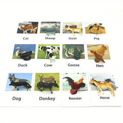 Montessori Animal Matching Card Educational Toy