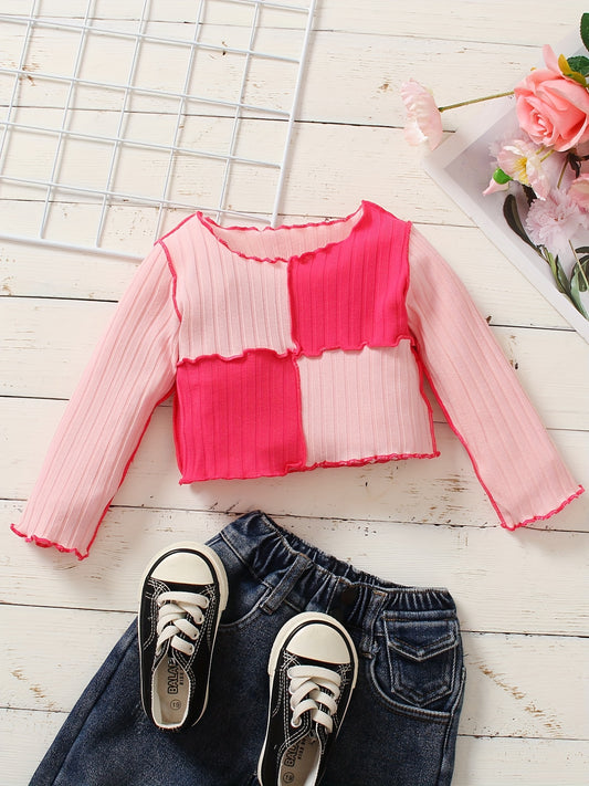 Toddler Girls Pink Gingham Sweater with Pleats Long Sleeve Knit Top