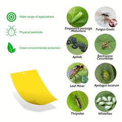 20pcs Armyworm Board Insect Trap for Garden