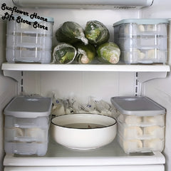 1pc Refrigerator Storage Box Dumpling Containers Stackable Kit