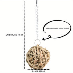 Interactive Pet Hanging Grass Ball for Hamsters