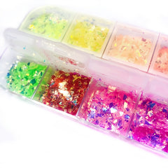 12 Grids Holographic Nail Glitter Flakes for 3D Nail Art