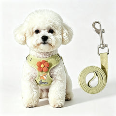 img_4094698