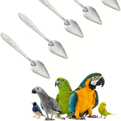 5pcs Small Bird Feeding Spoon for Parrots Easy to Use and Clean