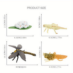 Mini Animal Dragonfly Growth Cycle Set Teaching Toy Gift