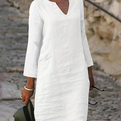 Notched Neck Long Sleeve Dress