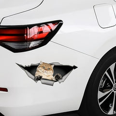 1pc Cat Car Sticker Animal Car Sticker Cartoon Decoration Sticker