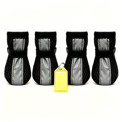 img_4674849