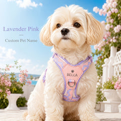 img_5197209