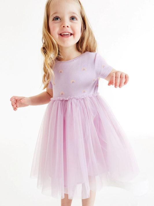 Toddler Girls Rainbow Graphic Mesh Princess Dress For Party