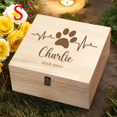img_6513958