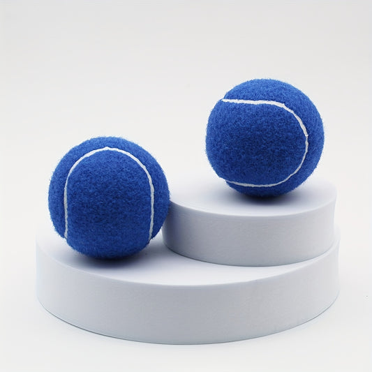 2pcs High Elastic Rubber Tennis Balls for Beginners Practice Outdoor Sports