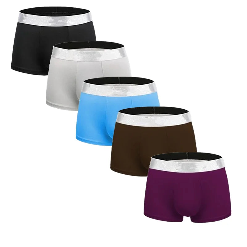 img_2582731