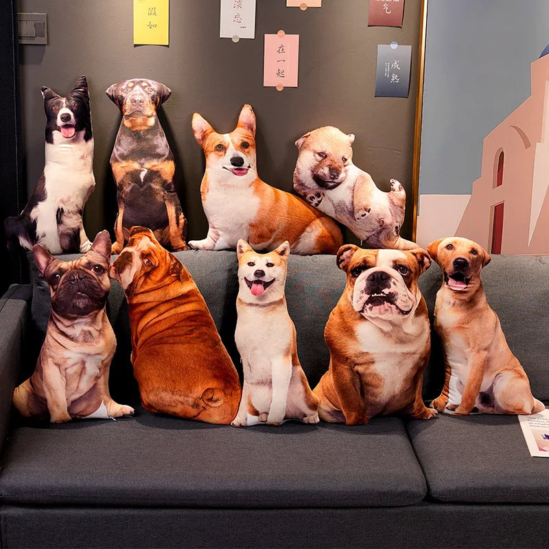 img_2935836