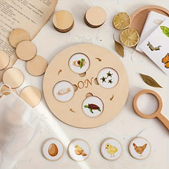Wooden Life Cycle Board Game Educational Science Toy