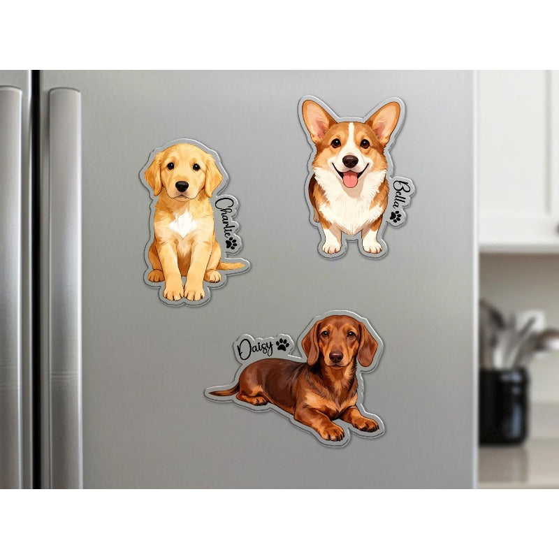 img_11175623