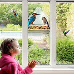 Large Hanging Bird Feeder with Suction Cups and Removable Tray
