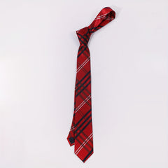 Men's Casual Plaid Striped Necktie