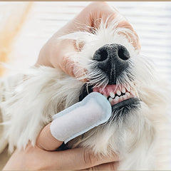 50pcs Dog Toothbrush Pet Finger Cover Dental Wipes for Teeth
