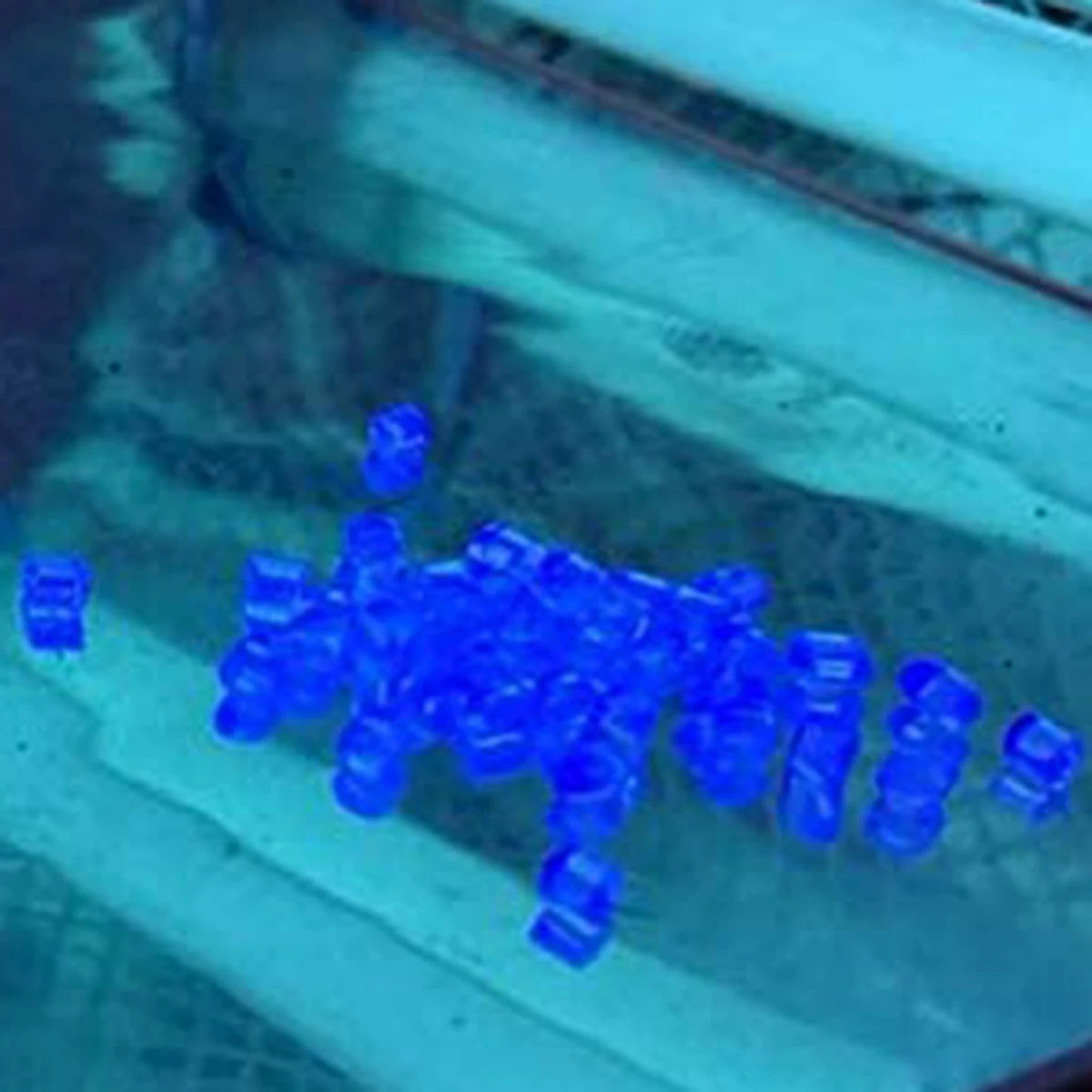 img_132575