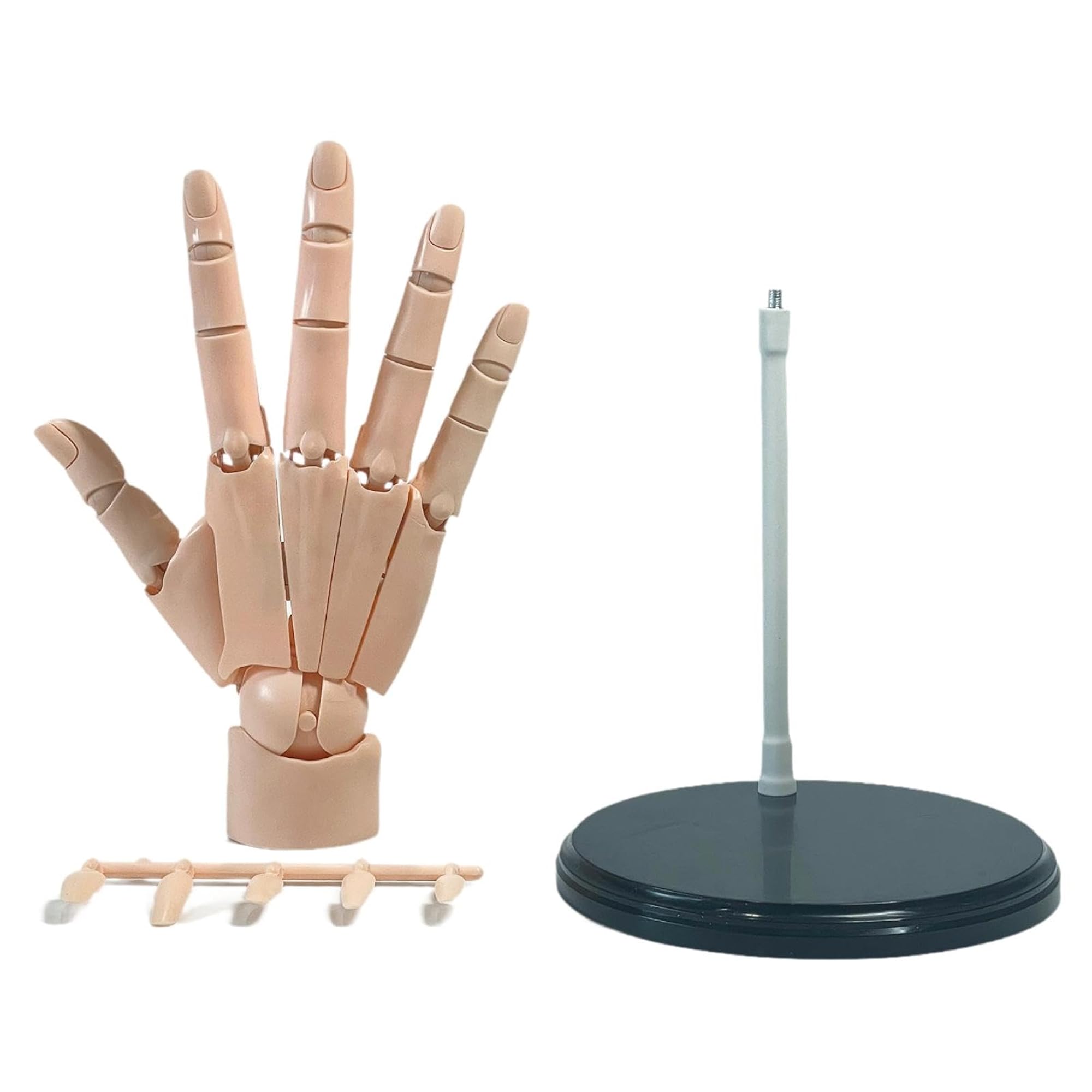 Articulated Hand Mannequin Model for Gesture Drawing, Skin Tone – CRAZE