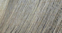 img_15945777