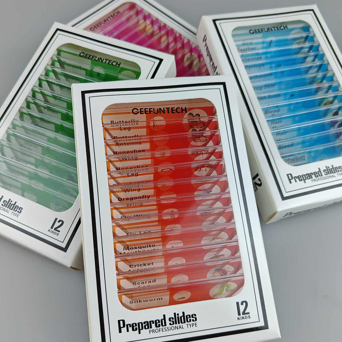 Microscope Slides 48pcs 4 Colors Sample Microbiological Biology Microscope Slice