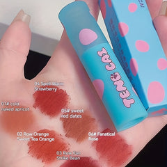 Snow Velvet Lip Glaze Liquid Lipstick 6 Colors