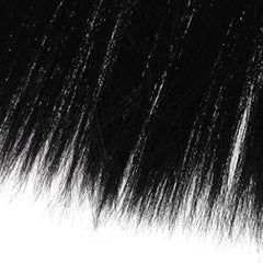 img_8180969
